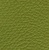 Ginkgo 20