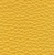 Ginkgo 21