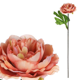 KN6160-BR - Pivoňka - umělá řezaná květina, hnědá