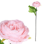 KN6160-PINK - Pivoňka - umělá řezaná květina, růžová