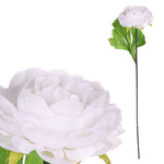 KN6160-WH - Pivoňka - umělá řezaná květina, bílá