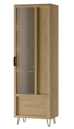 Vitrína ALTEA 11 1D pravá dub artisan