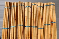 Bambusová tyč průměr 5-6 cm, délka 2 metry