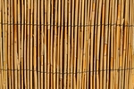 Rohož plotová rákos 130x500 cm