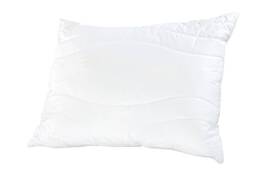 Polštář Aloe Vera 70x90