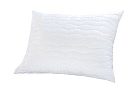 Polštář Aegis 40x60x10