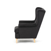 AK-388 BK2 - Křeslo ušák, černá látka, AK-388 BK2