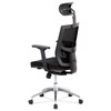 Kancelářská židle, synchronní mechanismus, černá síťovina, KA-B1083 BK