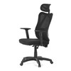 Kancelářská židle, synchronní mechanismus, černá síťovina, KA-R215 BK