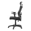Kancelářská židle, synchronní mechanismus, černá síťovina, KA-R215 BK