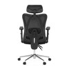 Kancelářská židle, výškově nastavitelná, černá síťovina, KA-R216 BK