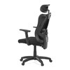 Kancelářská židle, synchronní mechanismus, černá síťovina, KA-R215 BK
