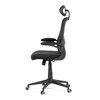 Kancelářská židle, houpací mechanismus, černá síťovina, KA-Q842 BK