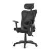 Kancelářská židle, synchronní mechanismus, černá síťovina, KA-R215 BK