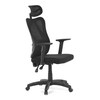 Kancelářská židle, synchronní mechanismus, černá síťovina, KA-R215 BK