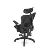 Kancelářská židle, synchronní mechanismus, černá síťovina, KA-R215 BK