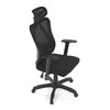 Kancelářská židle, synchronní mechanismus, černá síťovina, KA-R215 BK