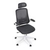 Kancelářská židle, houpací mechanismus, šedá síťovina, KA-Q843 GREY