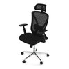 Kancelářská židle, synchronní mechanismus, černá síťovina, KA-S258 BK