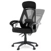 Kancelářská židle, houpací mechanismus, černá síťovina, KA-Y309 BK
