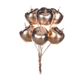 Jablíčka na drátku - barva champagne, cena za balení (12 ks)