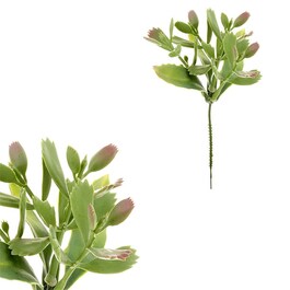 Sukulent - umělý trs, zápich, barva zelená