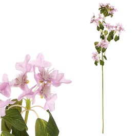 Clematis - umělá řezaná květina, fialová