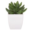 Sukulent v bílém plastovém obalu - umělý, zelený