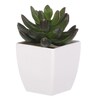 Sukulent v bílém plastovém obalu - umělý, zelený