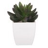 Sukulent v bílém plastovém obalu - umělý, zelený
