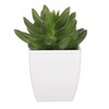 Sukulent v bílém plastovém obalu - umělý, zelený
