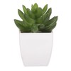 Sukulent v bílém plastovém obalu - umělý, zelený