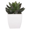Sukulent v bílém plastovém obalu - umělý, zelený