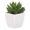 Sukulent v bílém plastovém obalu - umělý, zelený