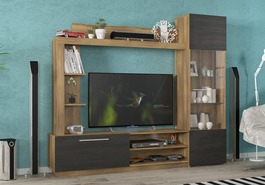 Obývací stěna TRENTO dub baroko/nothern tree