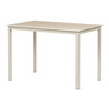 Jídelní set s 4 židlemi Regulus, béžová, 110x70x75cm, mdf, travertin, ASE-1042 LAN2