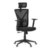 Kancelářská židle, houpací mechanismus, černá síťovina, KA-Q851 BK