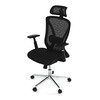 Kancelářská židle, synchronní mechanismus, černá síťovina, KA-S258 BK