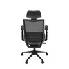 Kancelářská židle, synchronní mechanismus, černá síťovina, KA-V3329 BK