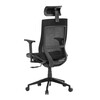 Kancelářská židle, synchronní mechanismus, černá síťovina, KA-W002 BK