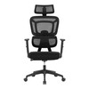 Kancelářská židle, synchronní mechanismus, černá síťovina, KA-Y358 BK