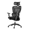 Kancelářská židle, synchronní mechanismus, černá síťovina, KA-Y358 BK