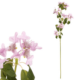 Clematis - umělá řezaná květina, fialová