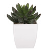 Sukulent v bílém plastovém obalu - umělý, zelený