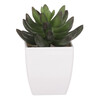 Sukulent v bílém plastovém obalu - umělý, zelený