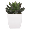 Sukulent v bílém plastovém obalu - umělý, zelený