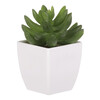 Sukulent v bílém plastovém obalu - umělý, zelený
