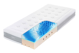 Super Fox Cloud Wellness 24