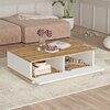 FR17 obývací sestava, bílá/dub