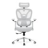Kancelářská židle, synchronní mechanismus, šedá síťovina, KA-B2361 GREY